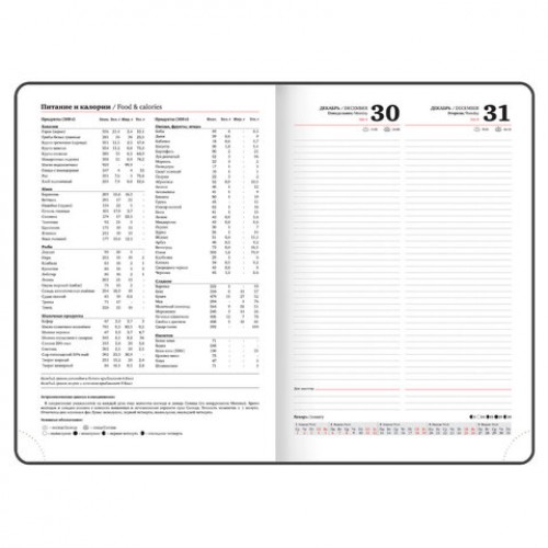 Ежедневник датированный 2025, БОЛЬШОЙ ФОРМАТ, 210х297 мм, А4, BRAUBERG Favorite, под кожу, бордовый, 115732