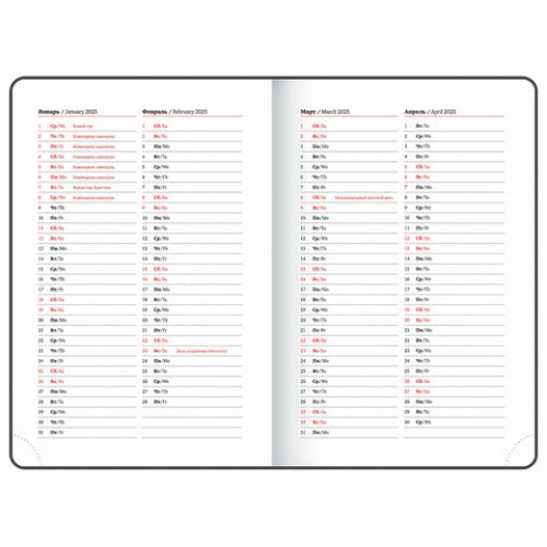 Ежедневник датированный 2025, А5, 138х213 мм, BRAUBERG Plain, под кожу, резинка, держатель для ручки, красный, 115918