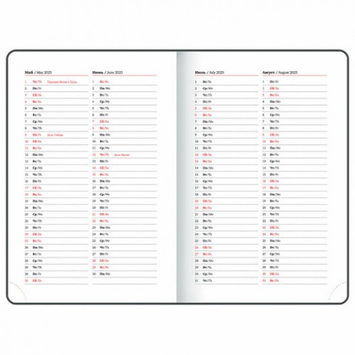Ежедневник датированный 2025, А5, 138x213 мм, BRAUBERG Control, под кожу, держатель для ручки, красный, 115848