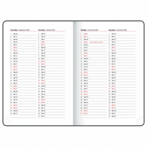 Ежедневник датированный 2025, А5, 138х213 мм, BRAUBERG Esthetic, под кожу, держатель для ручки, застежка, красный/серый, 115925