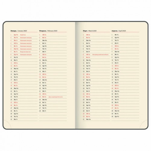 Ежедневник датированный 2025 А5 138x213 мм, BRAUBERG Optimal, под кожу, резинка-фиксатор, держатель для ручки, коричневый, 115895