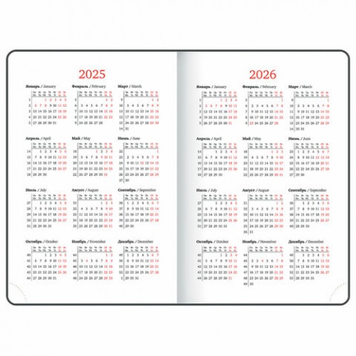 Ежедневник датированный 2025, А5, 138x213 мм, BRAUBERG Sparkle, под кожу, блестки, серебристый, 115858