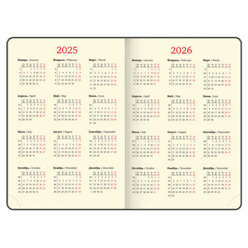 Ежедневник датированный 2025, БОЛЬШОЙ ФОРМАТ, 210х297 мм, А4, BRAUBERG Iguana, под кожу, синий, 115737