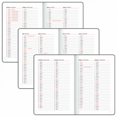 Ежедневник датированный 2025, А5, 138x213 мм, BRAUBERG Control, под кожу, держатель для ручки, красный, 115848
