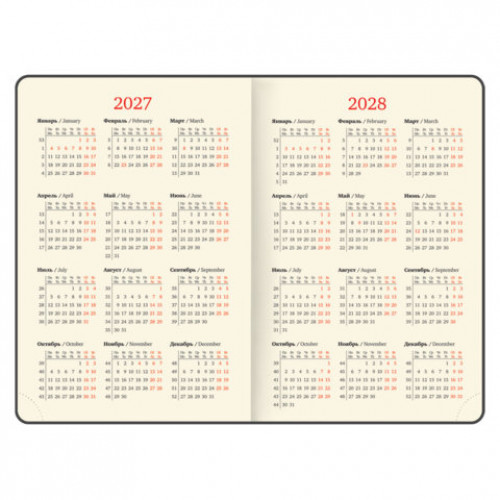 Ежедневник датированный 2027, А5, 138х213 мм, BRAUBERG Aura, под кожу, гибкий, темно-серый, 117930