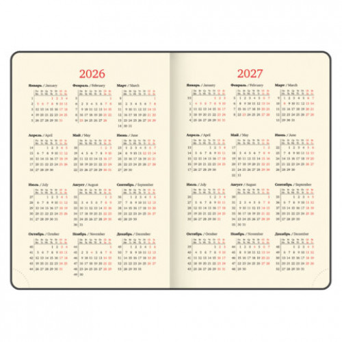 Ежедневник датированный 2025, А5, 143х218 мм, BRAUBERG Journal, под кожу, застежка, держатель для ручки, органайзер, серый, 117381