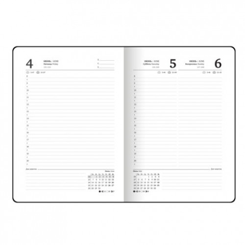 Ежедневник датированный 2027 с резинкой, 145х203 мм, А5, BRAUBERG, твердый, фольга, Plum stone, 117825