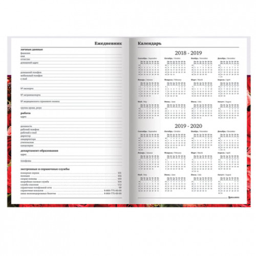 Ежедневник учителя специализированный А5 (215х145 мм), твердая обложка, 144 л., BRAUBERG, ЦВЕТЫ, 129234