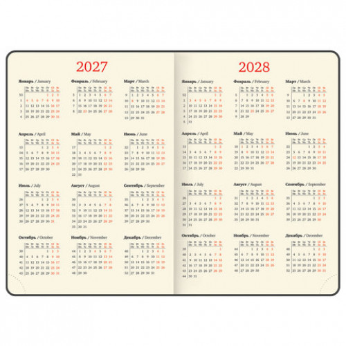 Еженедельник датированный 2027, БОЛЬШОЙ ФОРМАТ, 210х297 мм, А4, BRAUBERG Iguana, под кожу, синий, 118148