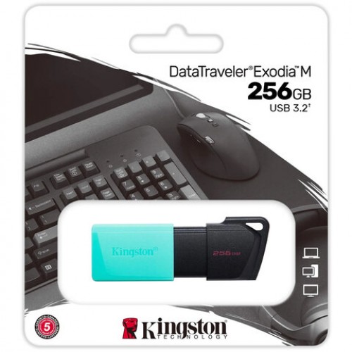 Флеш-диск 256GB KINGSTON DataTraveler Exodia M, разъем USB 3.2, черный/зеленый, DTXM/, DTXM/254GB