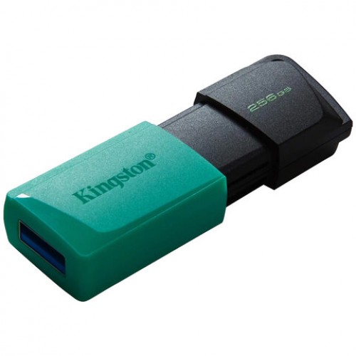 Флеш-диск 256GB KINGSTON DataTraveler Exodia M, разъем USB 3.2, черный/зеленый, DTXM/, DTXM/254GB