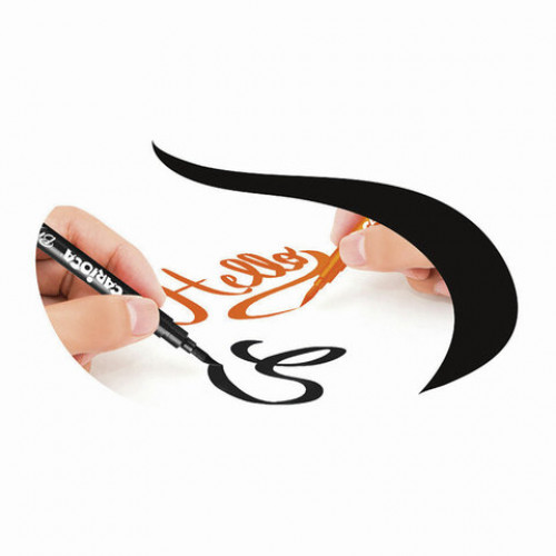 Фломастеры с наконечником-кистью CARIOCA (Италия) Super Brush, 10 цветов, смываемые, 42937