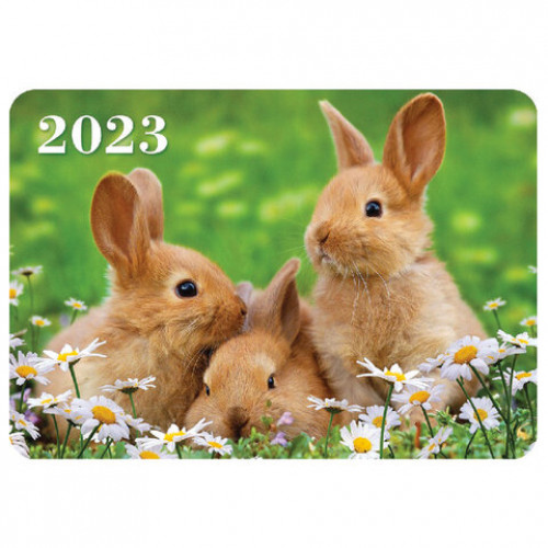 Календарь карманный на 2023 г., 70х100 мм, Год Кролика, HATBER, Кк757443
