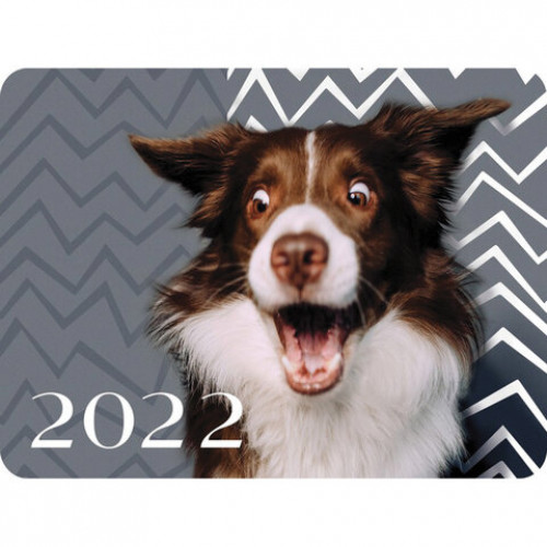 Календарь карманный на 2022 год, 70х100 мм, Прикольные животные, HATBER, Кк7