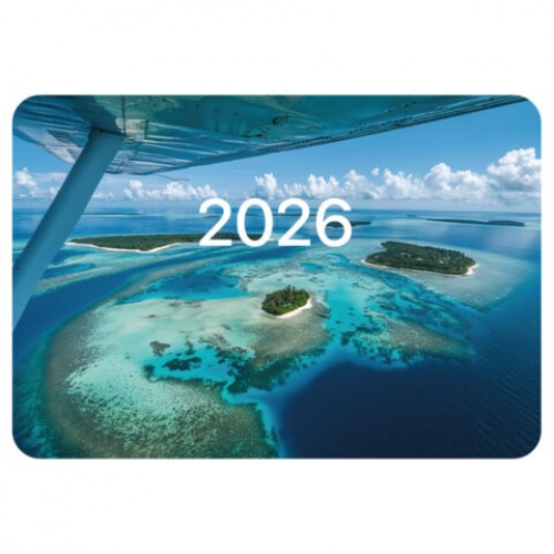 Календарь карманный на 2026г, BRAUBERG, 64х93мм, АССОРТИ 20 видов, 117303