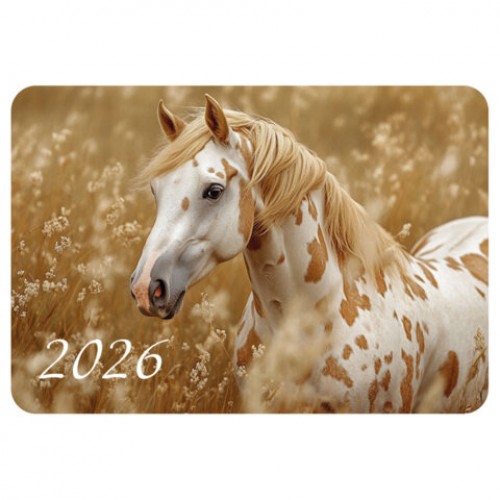 Календарь карманный на 2026г, BRAUBERG, 64х93мм, АССОРТИ 20 видов, 117303