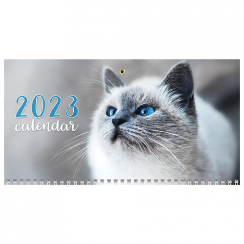 Календарь квартальный с бегунком 2023 г., 3 блока, 3 гребня, ЭКСТРА, Кошачьи глазки, HATBER, 3Кв3гр3ц_27889