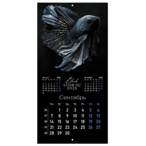 Календарь настенный перекидной 2026 г., BRAUBERG, 12 листов, 28,5х28,5 см, Black esthetic, 116927