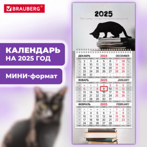 Календарь квартальный на 2025 г., 1 блок, 1 гребень, с бегунком, МИНИ, офсет, BRAUBERG, Smart cat, 116123