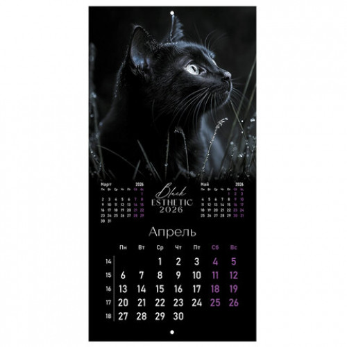 Календарь настенный перекидной 2026 г., BRAUBERG, 12 листов, 28,5х28,5 см, Black esthetic, 116927