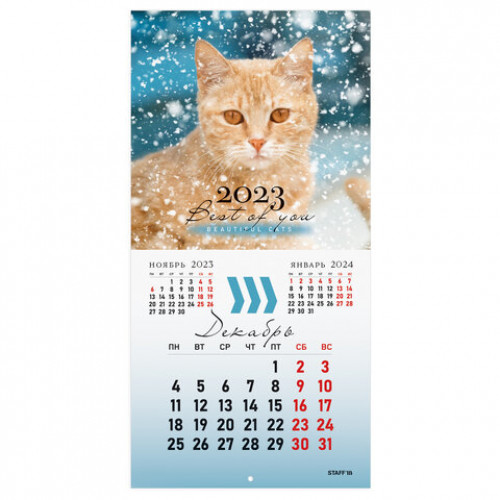 Календарь настенный перекидной 2023 г., 12 листов, 29х29 см, КОШКИ, STAFF, 114276