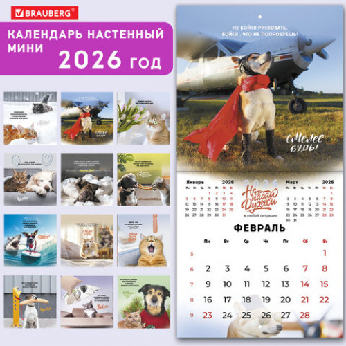 Календарь настенный перекидной 2026 г., BRAUBERG, 12 листов, 21,4х21,4 см, МИНИ, Не падай духом, 116942