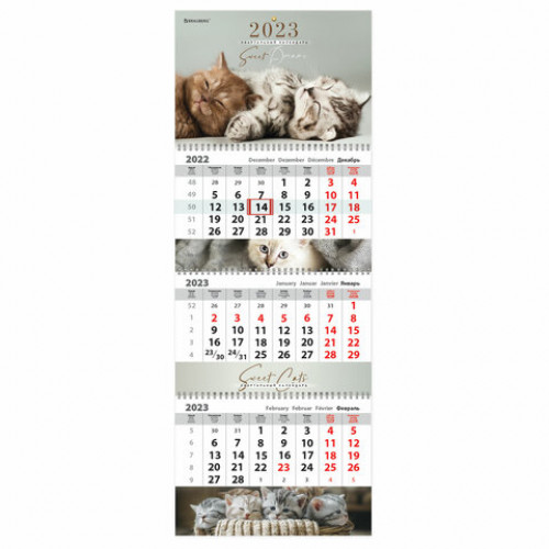 Календарь квартальный на 2023 г., 3 блока, 3 гребня, с бегунком, мелованная бумага, KITTENS, BRAUBERG, 114248