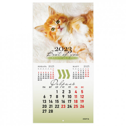Календарь настенный перекидной 2023 г., 12 листов, 29х29 см, КОШКИ, STAFF, 114276