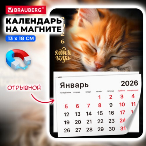 Календарь отрывной на магните 2026, BRAUBERG, 130Х180мм, склейка, Котик, 117289