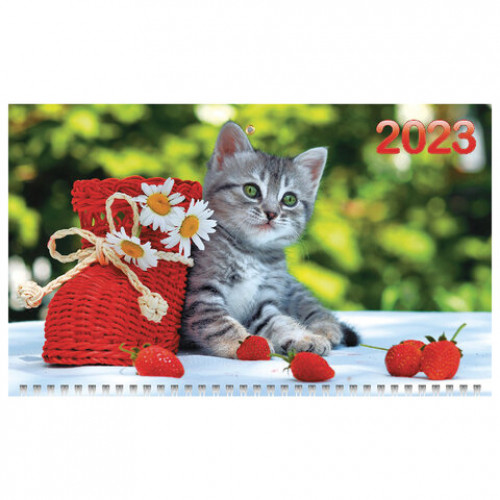 Календарь квартальный с бегунком 2023 г., 3 блока, 3 гребня, ОФИС, Котенок, HATBER, 3Кв3гр3_11865