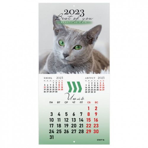 Календарь настенный перекидной 2023 г., 12 листов, 29х29 см, КОШКИ, STAFF, 114276