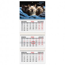 Календарь квартальный на 2025 г., 3 блока, 3 гребня, с бегунком, мелованная бумага, BRAUBERG, Милые котики, 116138