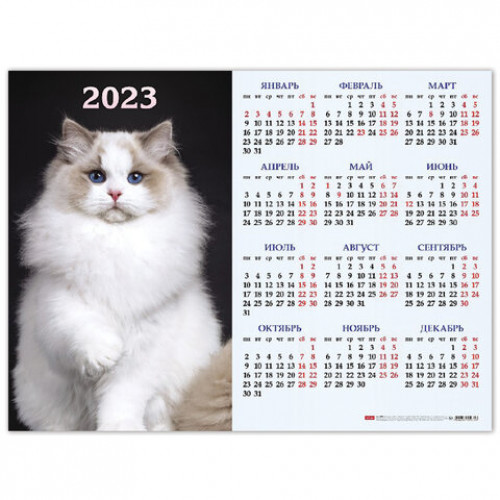 Календарь настенный листовой 2023 г., формат А2 (60х45 см), Знак Года, HATBER, Кл2_27110