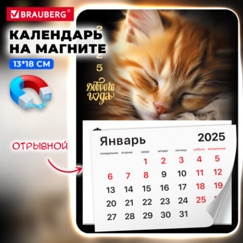 Календарь отрывной на магните на 2025 г., BRAUBERG, 130х180 мм, склейка, Котик, 116281