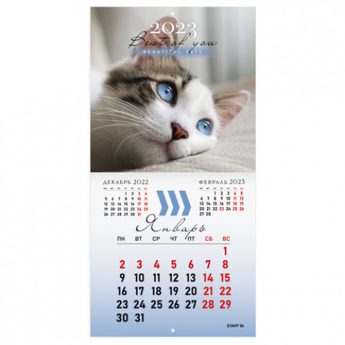 Календарь настенный перекидной 2023 г., 12 листов, 29х29 см, КОШКИ, STAFF, 114276
