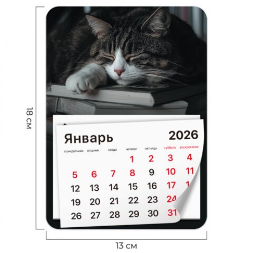 Календарь отрывной на магните 2026, BRAUBERG, 130Х180мм, склейка, Спящий кот, 117292