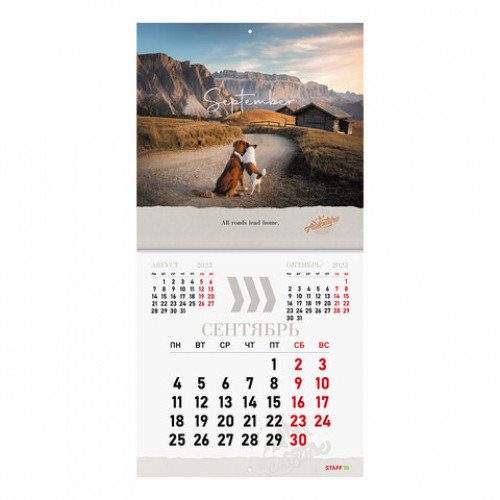Календарь настенный перекидной 2023 г., 12 листов, 29х29 см, DOGS, STAFF, 114278