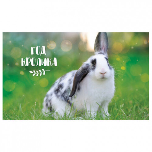 Календарь квартальный с бегунком 2023 г., 3 блока, 4 гребня, УльтраЛюкс, Год Кролика, HATBER, 3Кв4гр2ц_27154
