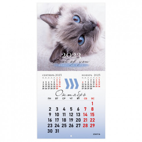 Календарь настенный перекидной 2023 г., 12 листов, 29х29 см, КОШКИ, STAFF, 114276