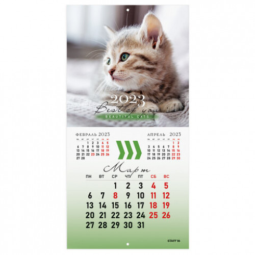 Календарь настенный перекидной 2023 г., 12 листов, 29х29 см, КОШКИ, STAFF, 114276