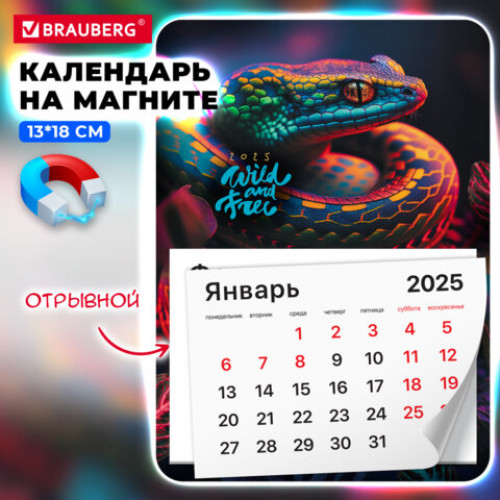 Календарь отрывной на магните на 2025 г., BRAUBERG, 130х180 мм, склейка, Символ года, 116279
