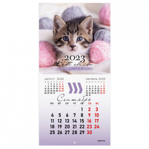 Календарь настенный перекидной 2023 г., 12 листов, 29х29 см, КОШКИ, STAFF, 114276