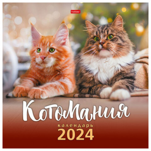 Календарь настенный перекидной на 2024 г., 6 л., 30х30 см, Эконом, КотоМания, HATBER, 6Кнп4_28450