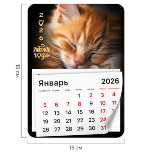 Календарь отрывной на магните 2026, BRAUBERG, 130Х180мм, склейка, Котик, 117289