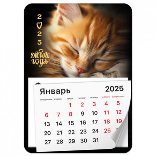 Календарь отрывной на магните на 2025 г., BRAUBERG, 130х180 мм, склейка, Котик, 116281