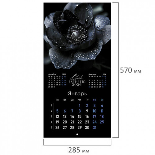 Календарь настенный перекидной 2026 г., BRAUBERG, 12 листов, 28,5х28,5 см, Black esthetic, 116927