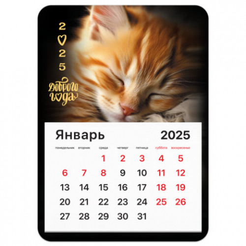 Календарь отрывной на магните на 2025 г., BRAUBERG, 130х180 мм, склейка, Котик, 116281