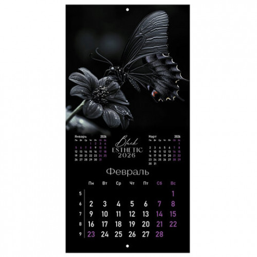 Календарь настенный перекидной 2026 г., BRAUBERG, 12 листов, 28,5х28,5 см, Black esthetic, 116927