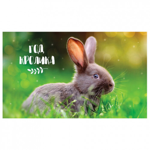 Календарь квартальный с бегунком 2023 г., 3 блока, 4 гребня, УльтраЛюкс, Год Кролика, HATBER, 3Кв4гр2ц_27154