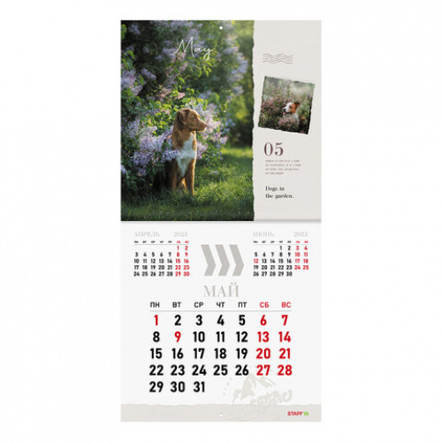 Календарь настенный перекидной 2023 г., 12 листов, 29х29 см, DOGS, STAFF, 114278